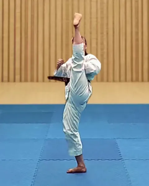 Ap-chagi, Front Kick