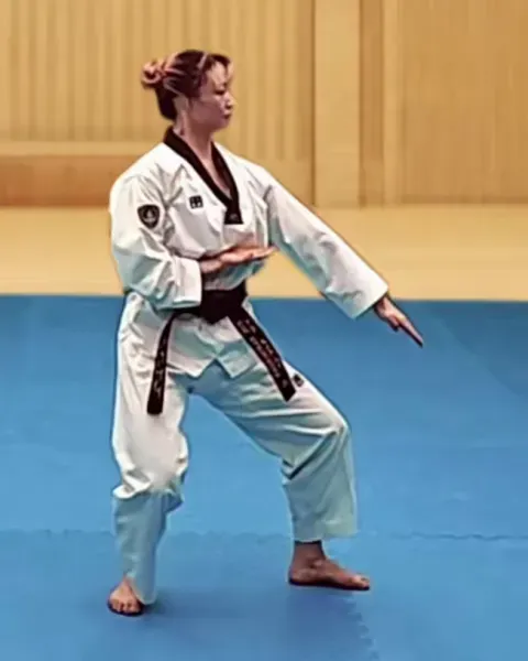 Sonnal-arae-makgi, Double Knifehand Low Block