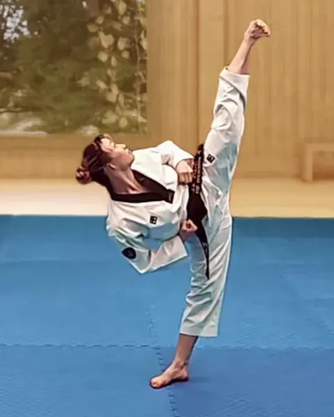 Yeop-chagi, Side Kick
