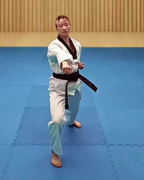 Momtong-jireugi, Punch