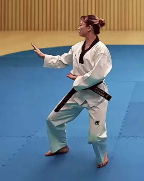 Sonnal-momtong-makgi, Double Knifehand Block