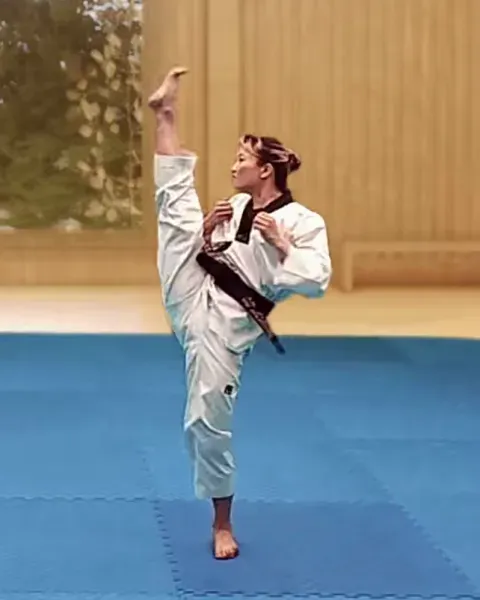 Ap-chagi, Front Kick