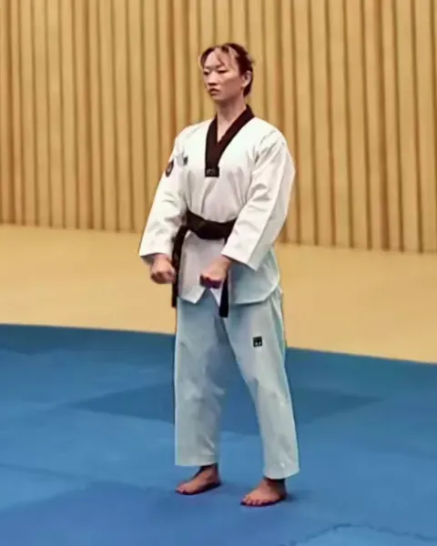 Gibon, Basic