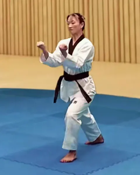 An-palmok-hecheo-makgi, Inner Forearm Opening Block