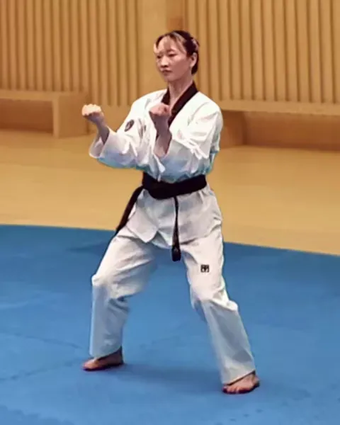An-palmok-hecheo-makgi, Inner Forearm Opening Block