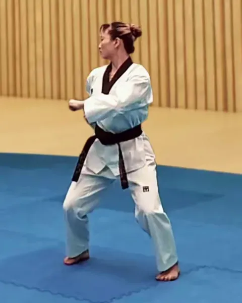 Keun-doljjeogwi, Big Hinge