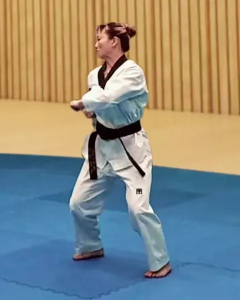Keun-doljjeogwi, Big Hinge
