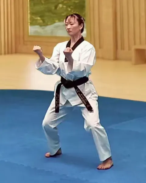 An-palmok-hecheo-makgi, Inner Forearm Opening Block