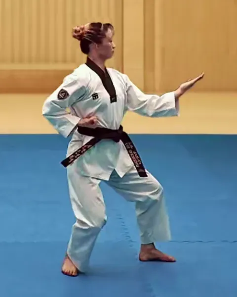 Sonnal-momtong-an-makgi, Knifehand Inward Block