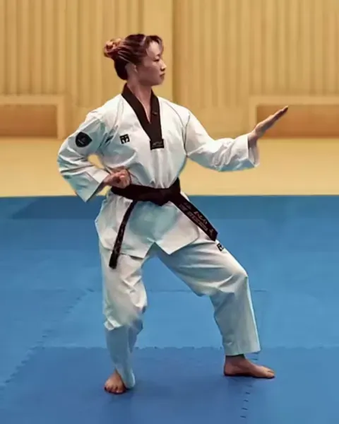 Sonnal-momtong-an-makgi, Knifehand Inward Block