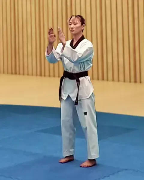 Tongmilgi, Pushing Hands