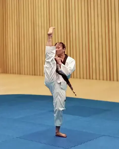 Ap-chagi, Front Kick