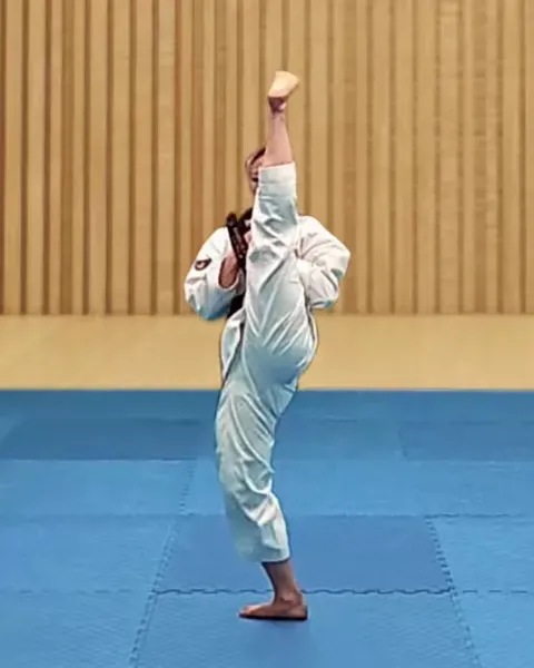 Ap-chagi, Front Kick
