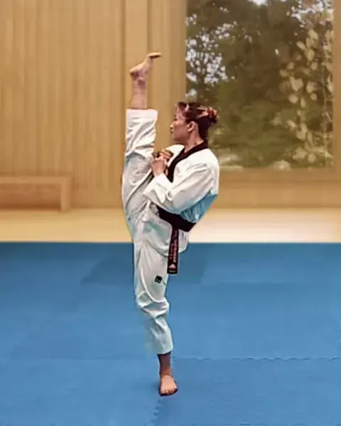 Ap-chagi, Front Kick