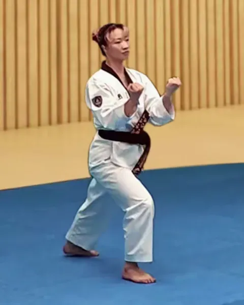 Momtong-an-palmok-hecheo-makgi, Inner Forearm Opening Block