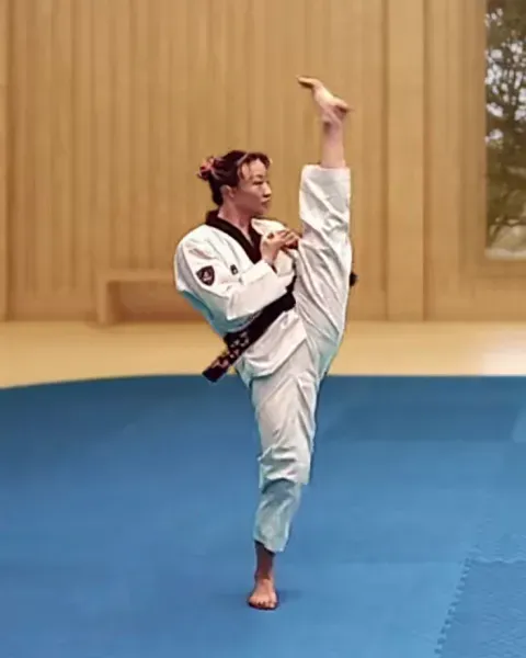 Ap-chagi, Front Kick