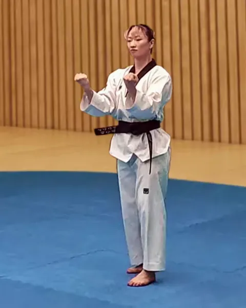 Momtong-an-palmok-hecheo-makgi, Inner Forearm Opening Block