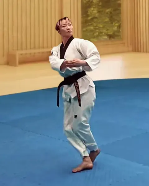 Ap-kkoa-seogi, Front Cross Stance