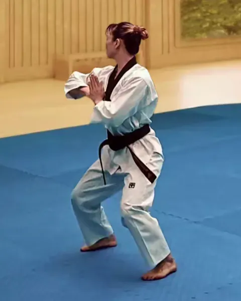 Palgup-chigi, Elbow Strike (assisted)