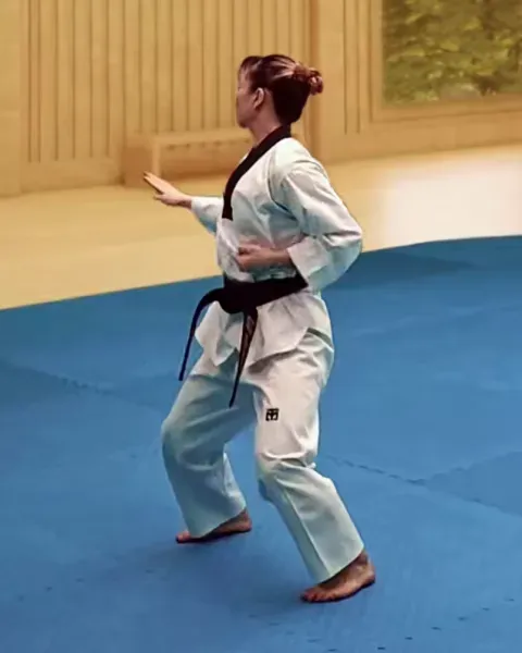 Sonnal-makgi, Single Knifehand Block