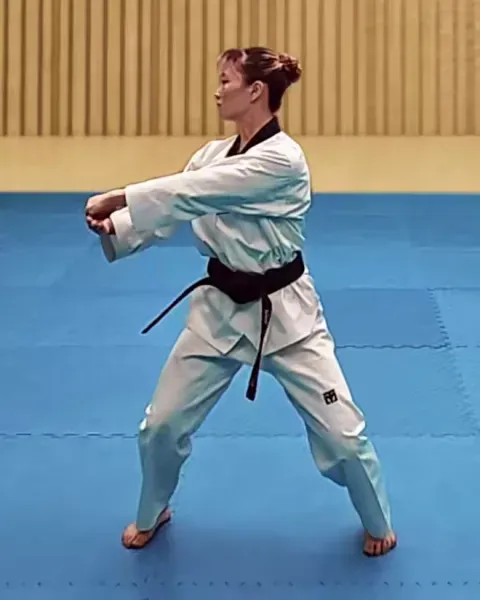 Pyojeok-jireugi, Target Punch