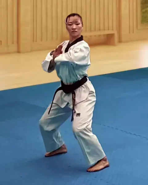 Palgup-chigi, Elbow Strike (assisted)