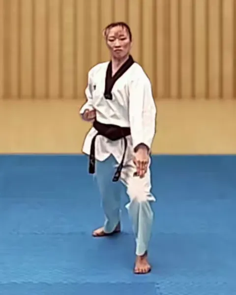 Sonnal-arae-makgi, Low Knifehand Block