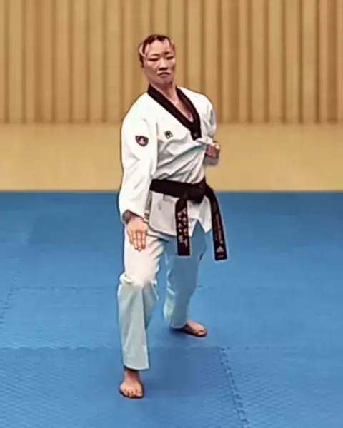 Sonnal-arae-makgi, Low Knifehand Block