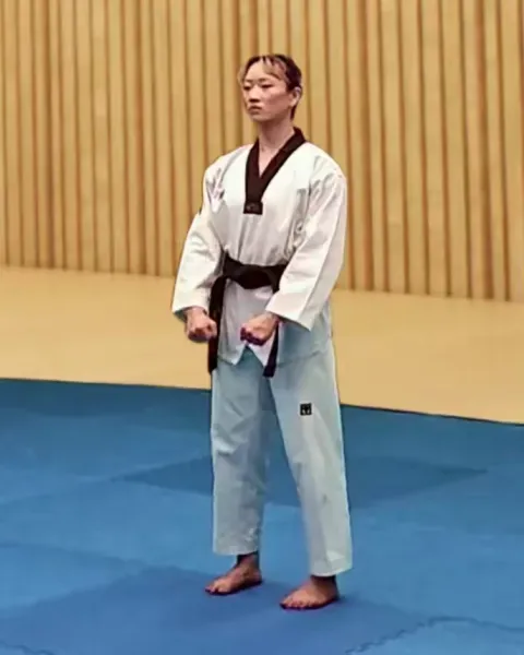 Gibon, Basic