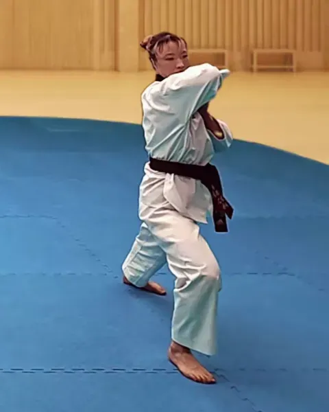 Palgup-chigi, Assisted Elbow Strike