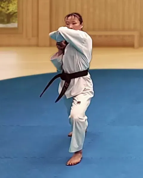 Palgup-chigi, Assisted Elbow Strike