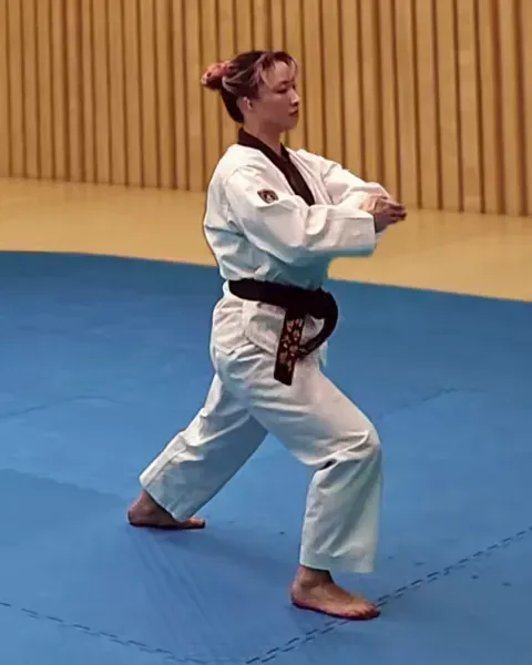 Palgup-pyojeok-chigi, Elbow Target Strike
