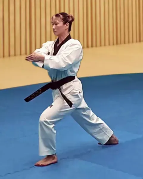 Palgup-pyojeok-chigi, Elbow Target Strike