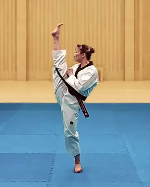 Ap-chagi, Front Kick