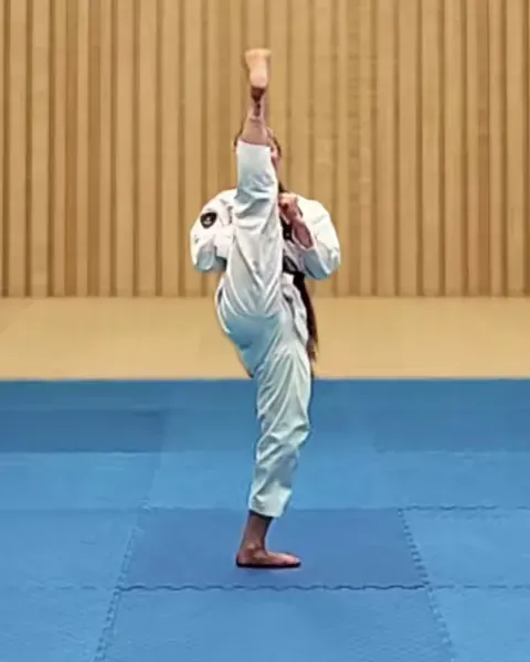 Ap-chagi, Front Kick