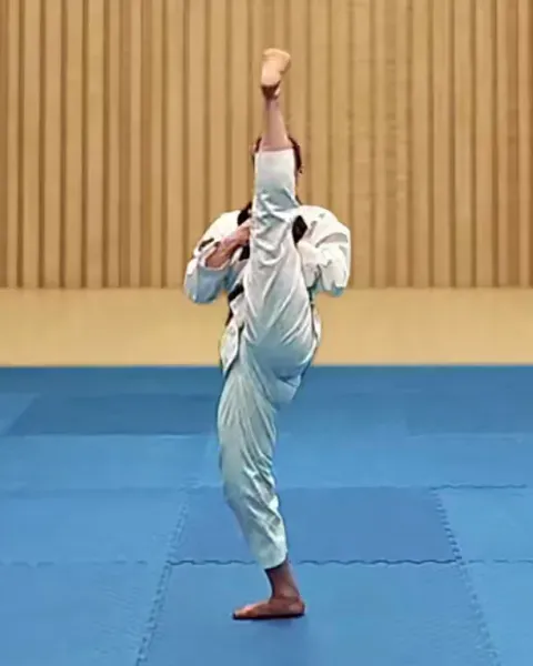 Ap-chagi, Front Kick