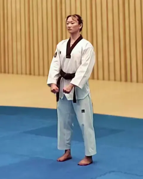 Gibon, Basic