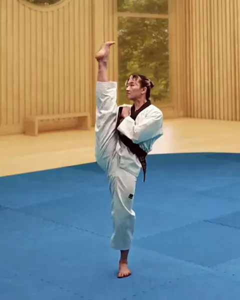 Ap-chagi, Front Kick