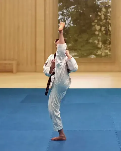 Ap-chagi, Front Kick