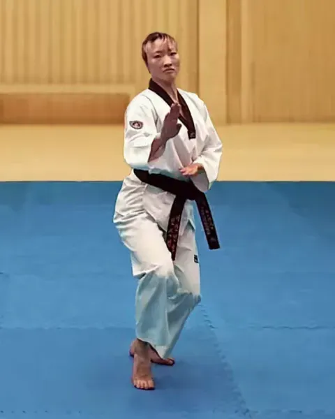 Sonnal-momtong-makgi, Double Knifehand Block