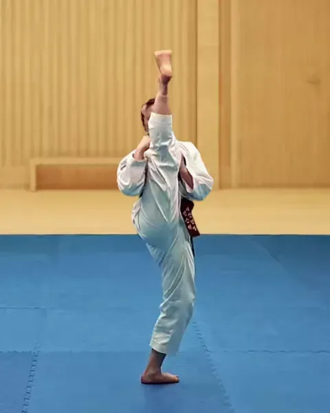 Ap-chagi, Front Kick