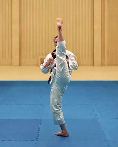 Ap-chagi, Front Kick