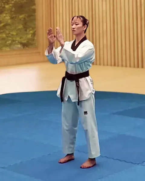 Tongmilgi, Pushing Hands (slow)