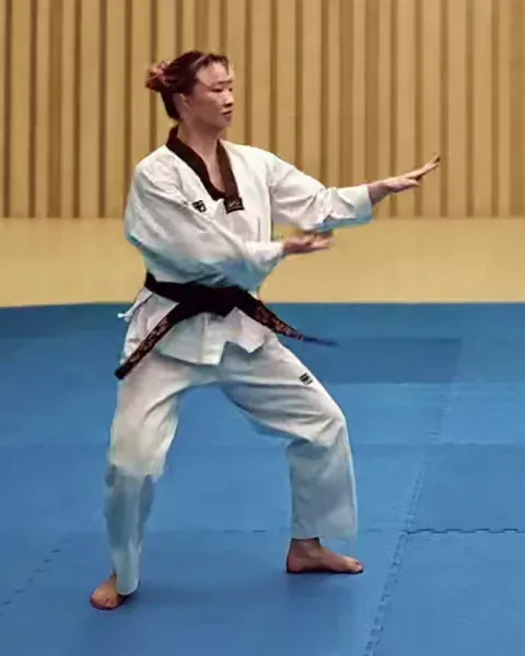 Sonnal-momtong-makgi, Double Knifehand Block