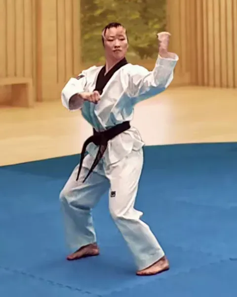 Geodeureo-eolgul-yeop-makgi, Augmented High Side Block