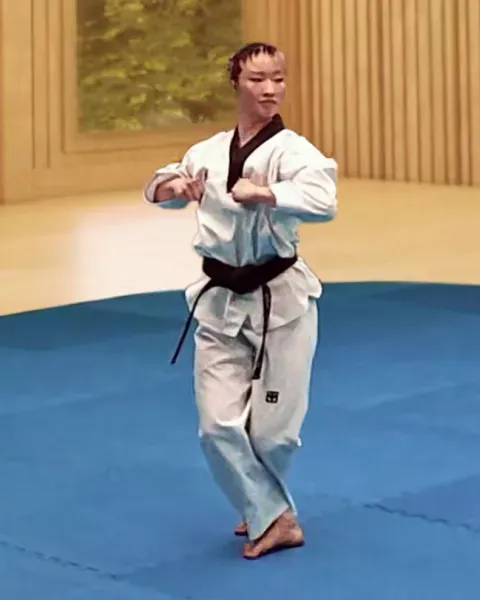 Du-palgup-yeop-chigi, Double Elbow Side Strike