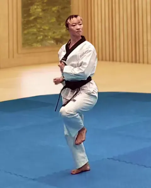 Jageun-doljjeogwi, Small Hinge