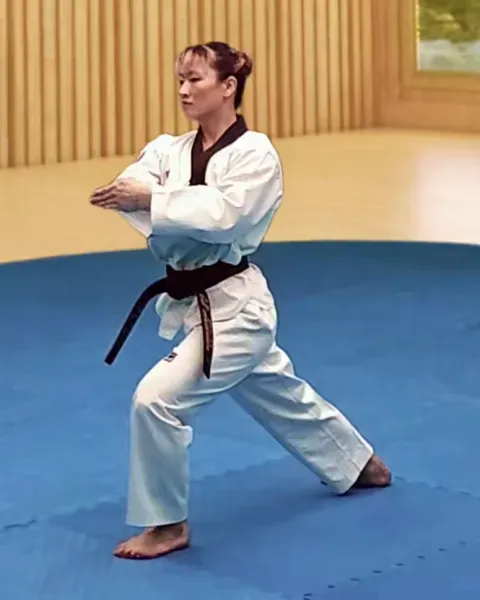 Palgup-pyojeok-chigi, Elbow Target Strike