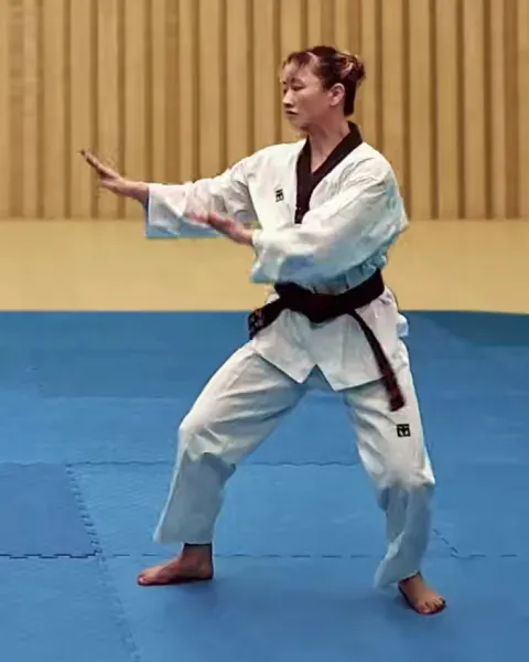 Sonnal-momtong-makgi, Double Knifehand Block