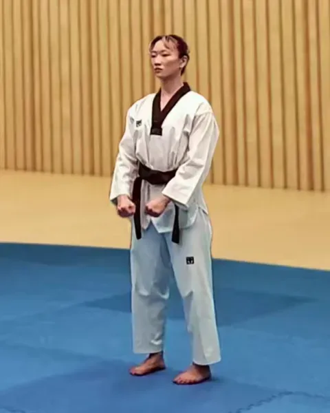 Gibon, Basic